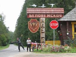 Приехали в Беловежскую Пущу