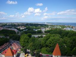Вид с башни на Таллин
