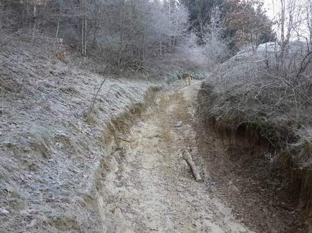 Крутой подъём возле Ладыгино. Впереди виден Барбос.