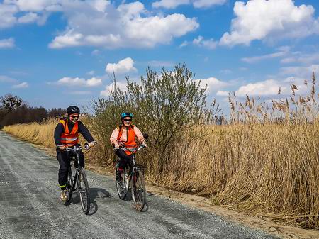 Велодорожка Green Velo