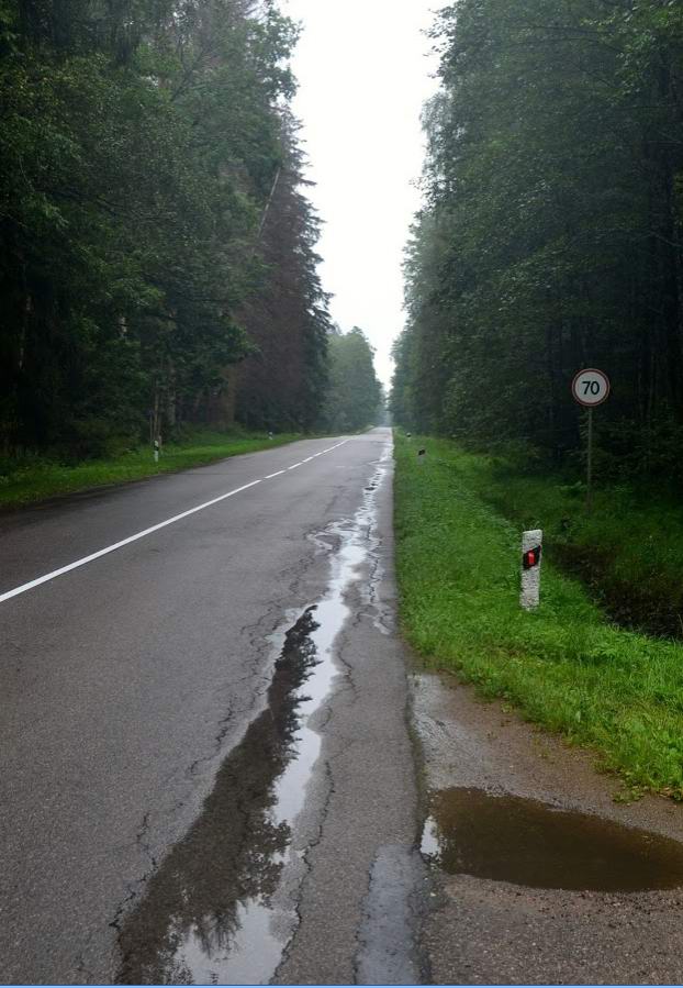 Дорога в сторону Краснознаменска через Пригородный лес.