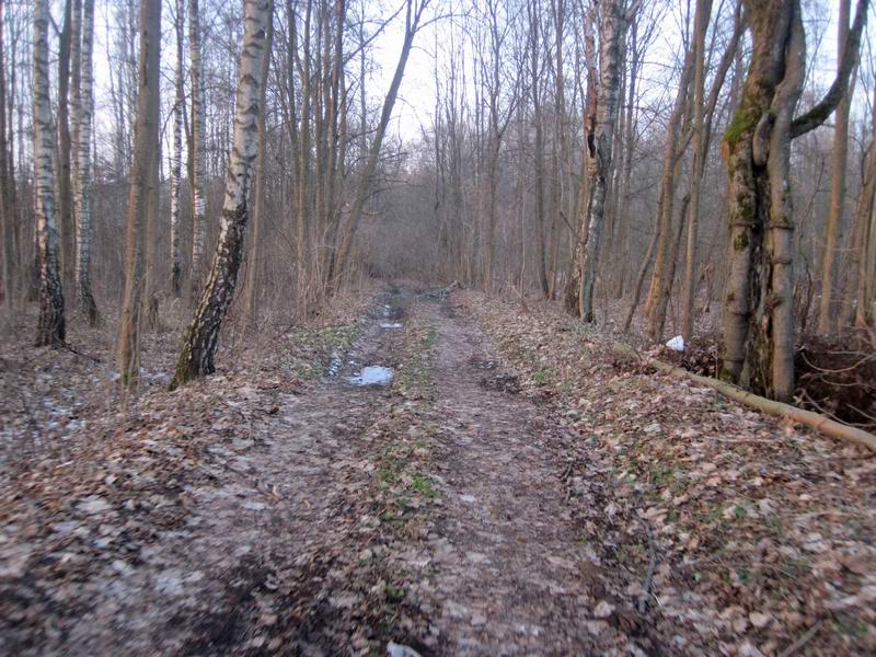 Въезд в лес перед Гвардейском