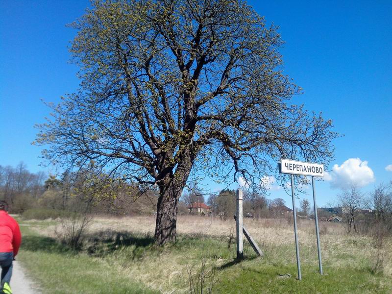 Приехали в Черепаново