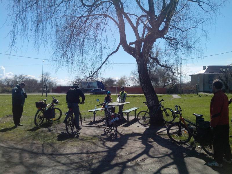 Остановка под берёзой в Черепаново