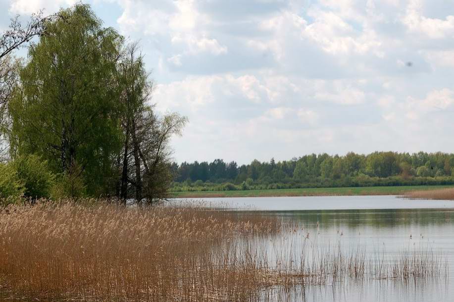 Никитинское водохранилище в районе п.Никитино.