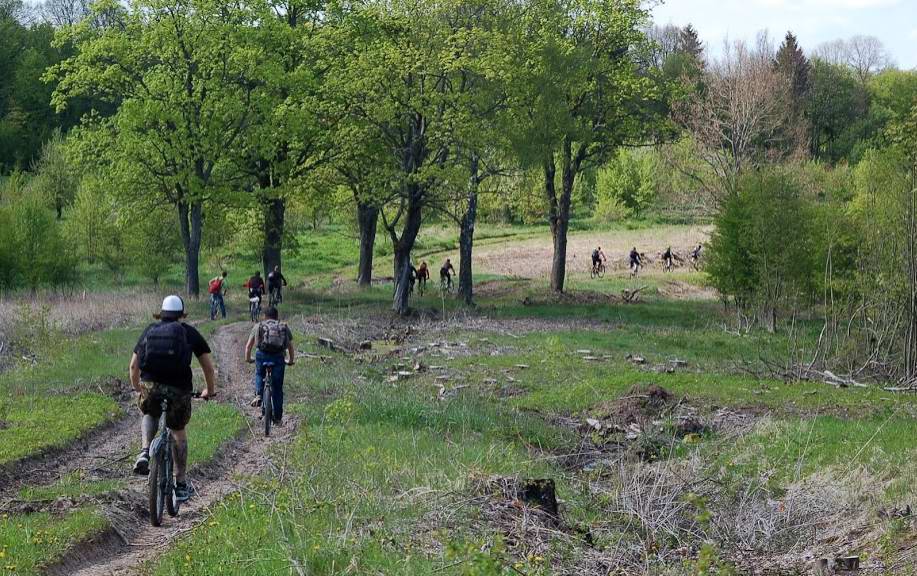 Дорога Дворкино-Бычково.