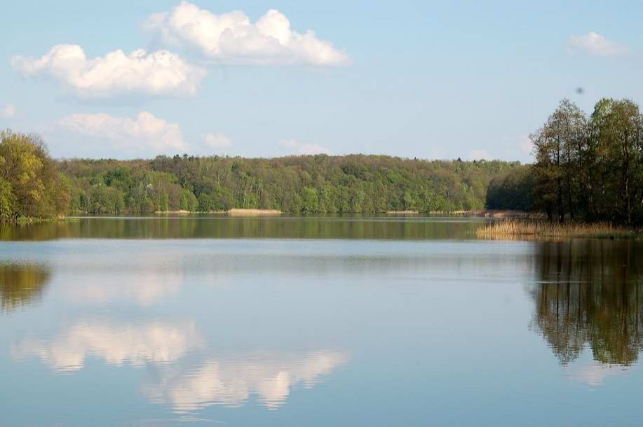 Водохранилище Лава.