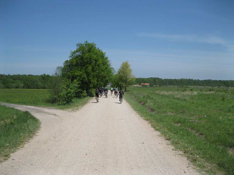 Едем в Ельниково.