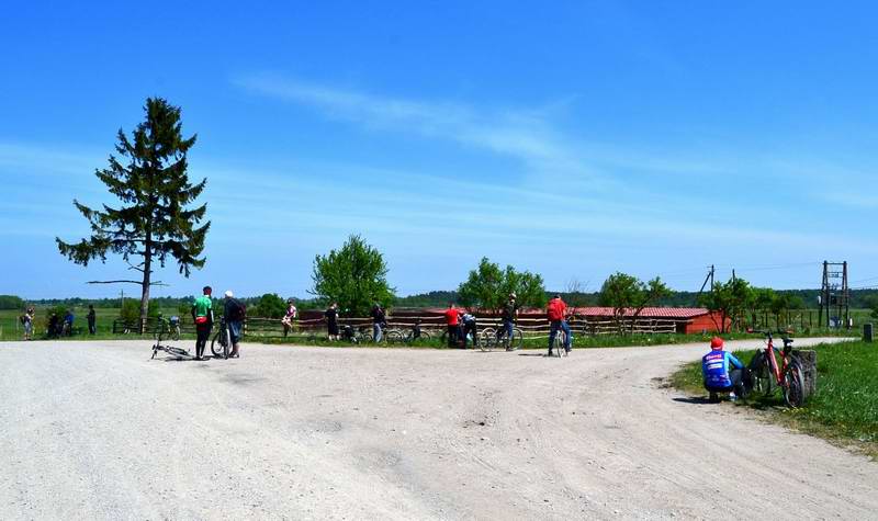 В Ельниково.