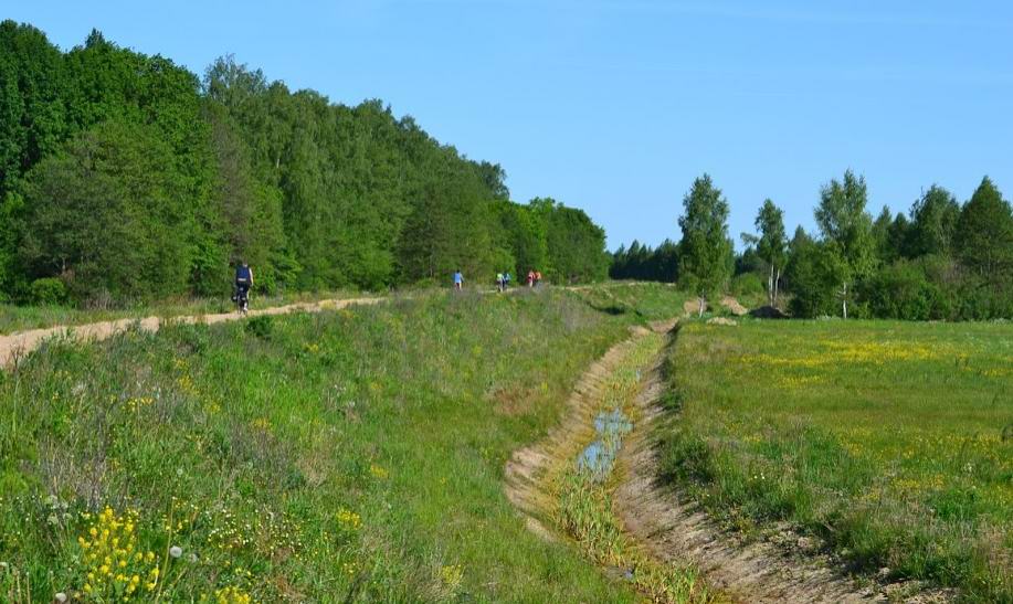 По дамбе вдоль реки Луговая.