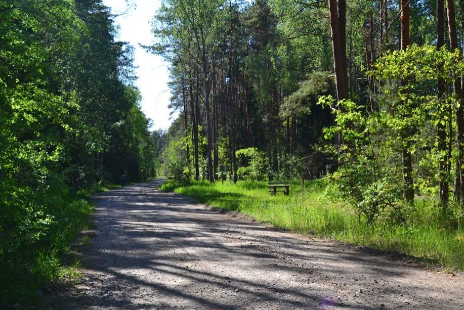 Дорога в сторону Гастеллово.