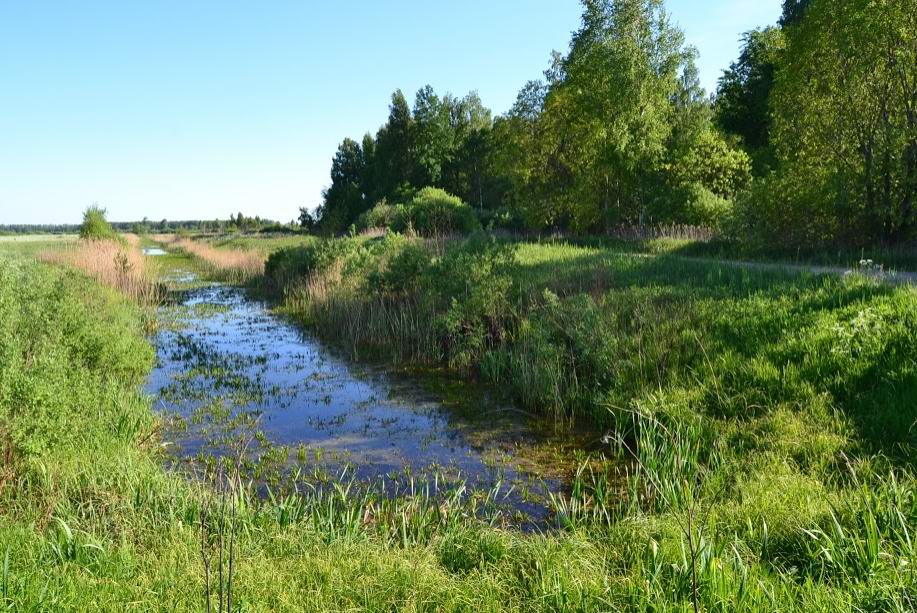 Дорога в районе Чижовка.