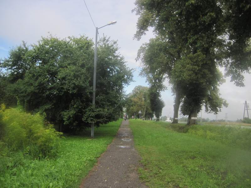 Участок маршрута по тротуару в Холмогоровке