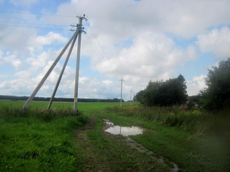 Дорога в Зелёный лес