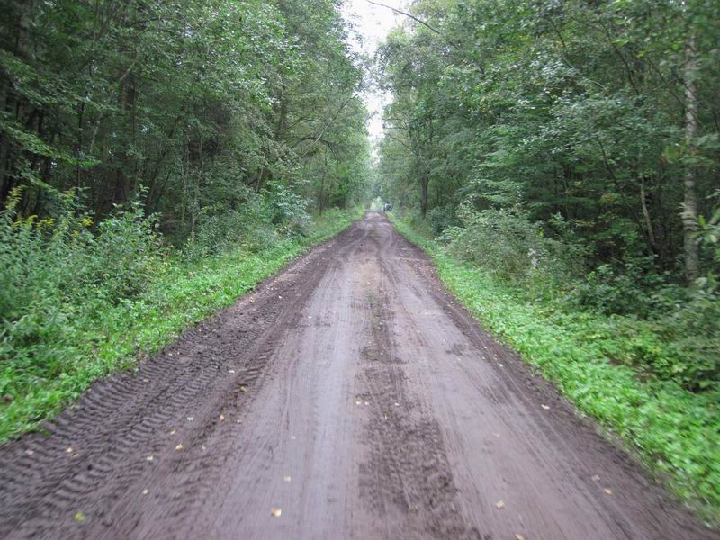 В лесу качество грунтовки немного ухудшилось