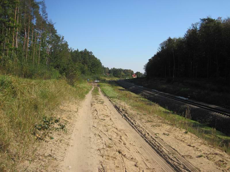 Дорога в Новомосковское