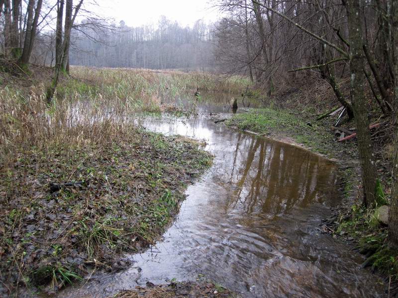 Сток воды из озера Лиепинес