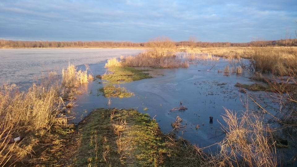 Тупиковая дорога, упирается в озеро