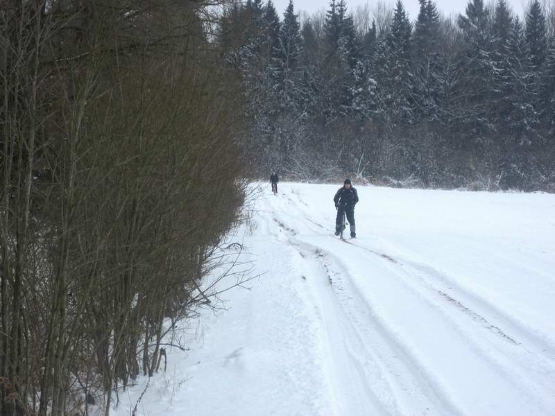 Въезд в лес Тиреляй