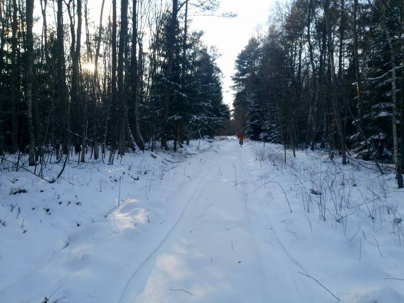 Движемся по просеке на восток