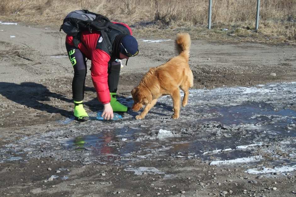 Поим Рыжика из бутылки