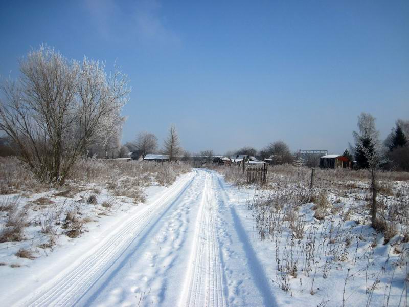 Немного огородов