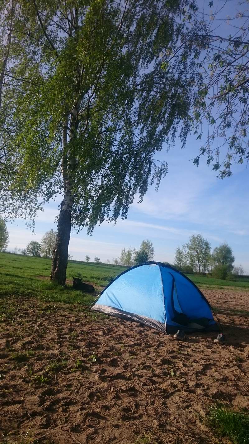 На заднем плане наш охранник