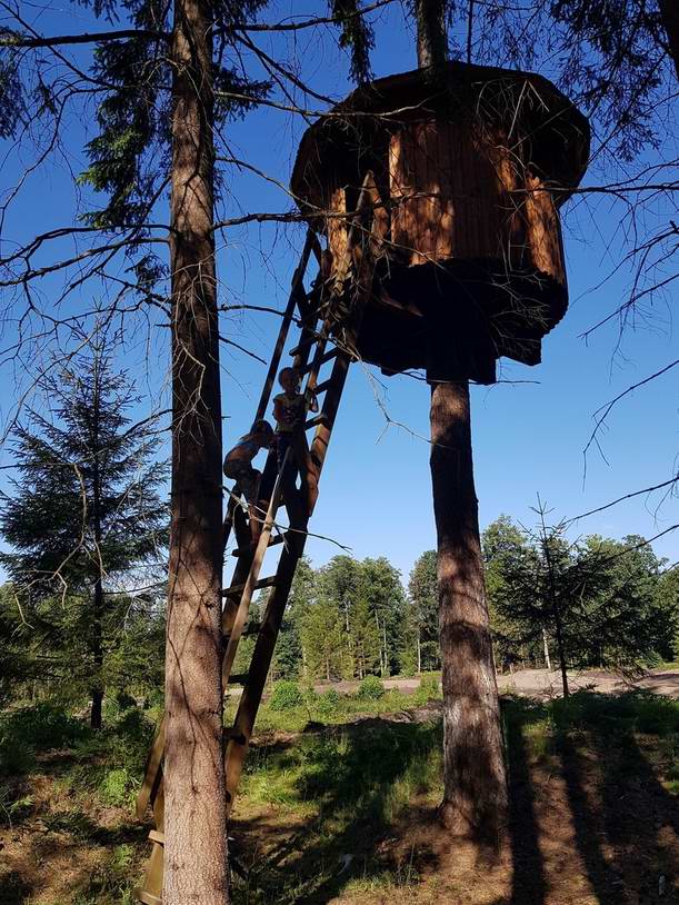 Дети полезли в домик на дереве