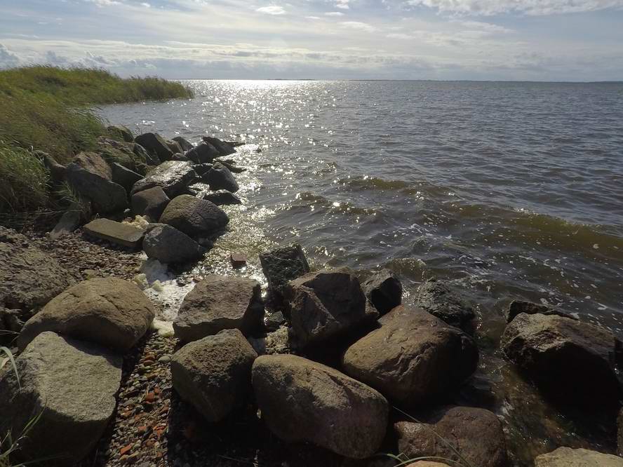 Берег Приморской бухты, на той стороне г. Балтийск ( 10 км )