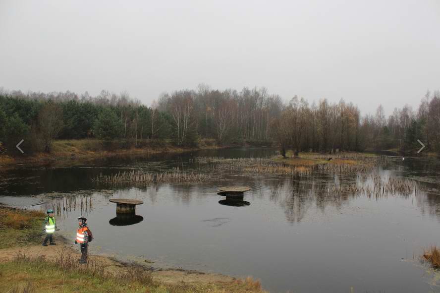 Озеро в Веселовке