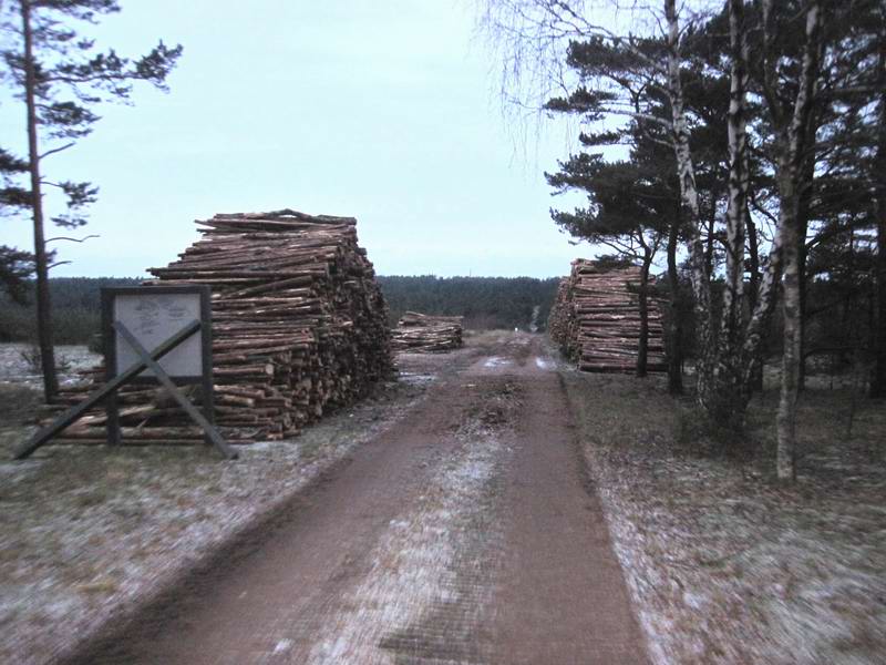 Едем по бетонке