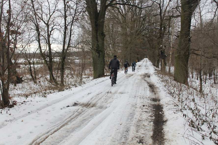 Едем в Долгоруково