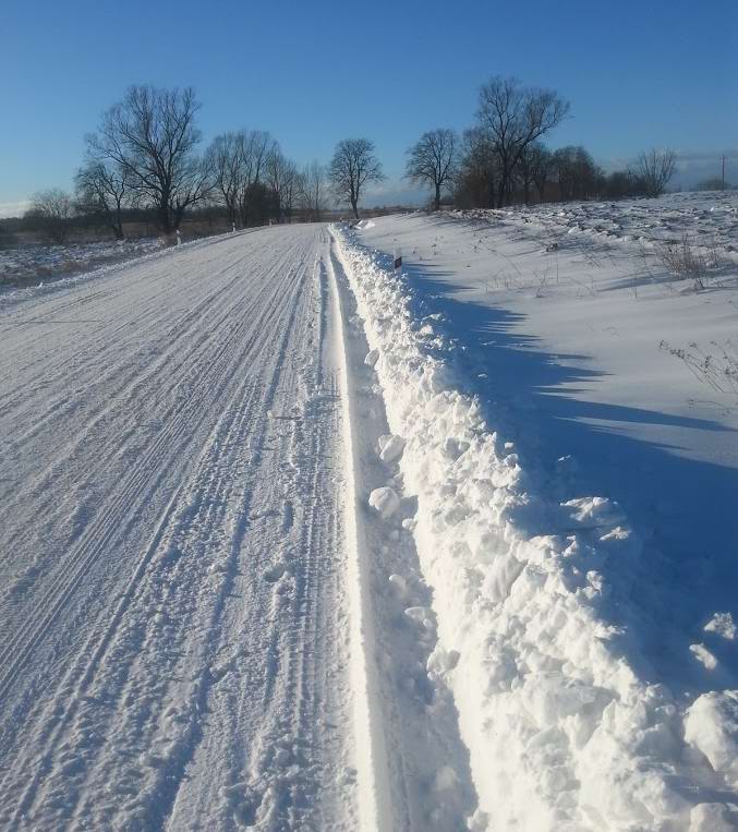 Заснеженная дорога