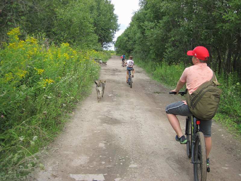 Собака продолжает нас сопровождать