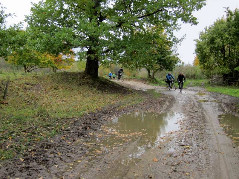 Выезжаем на асфальт во втором Садовом