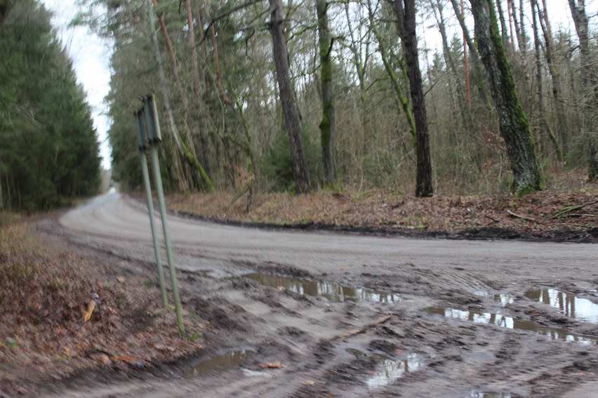 Дорога на Кремнево