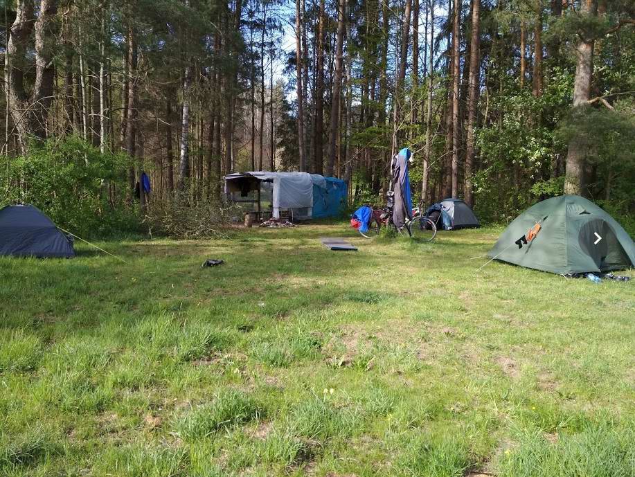 Поляна в Роминтской пуще