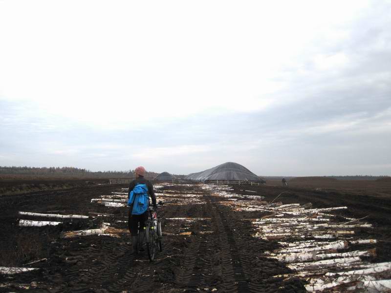 Берёзовая гать