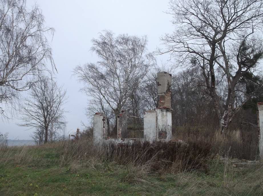 Застенчивой простушкой осень скромно