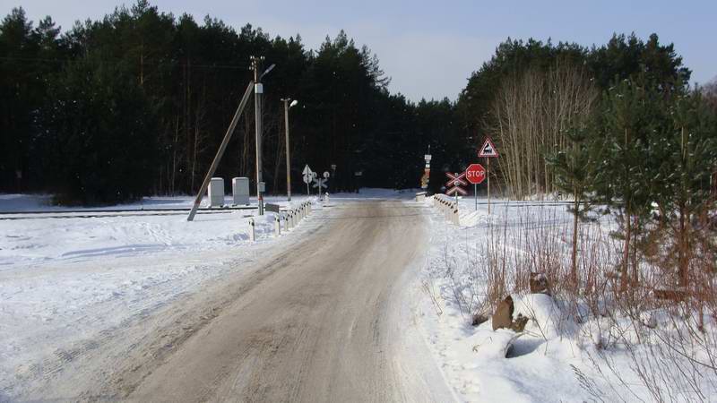 Въезжаем в Светловский лес