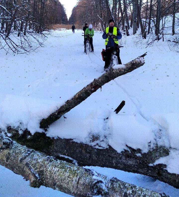 Полынья под бревном