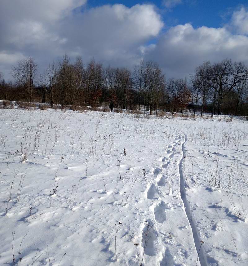 В итоге плюнули и перешли на параллельную каналу дорогу