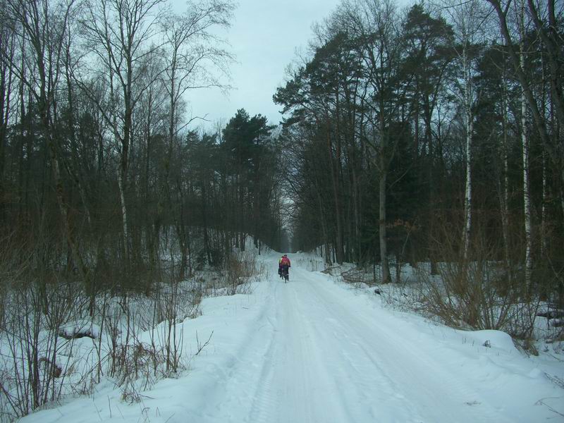 Свернули в сторону заснеженной дамбы, ведущей в Дюнное <a href='http://koenigbicycle.ru/js/ymapload/mapload.htm?maps/v2106tr.kml&55.219054&21.399038&17&hybrid'><img src='/images/Yandex_Maps_logo_25px.gif'></a> <a href='https://www.google.com/maps?z=15&t=h&q=55.219054,21.399038' target='_blank'><img src='/images/25px-Google_Maps_icon.jpg'></a>