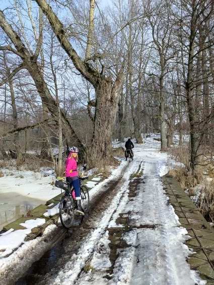 Ольга Соболева на мосту в Дюнном <a href='http://koenigbicycle.ru/js/ymapload/mapload.htm?maps/v2106tr.kml&55.215719500125&21.3573647500056&17&hybrid'><img src='/images/Yandex_Maps_logo_25px.gif'></a> <a href='https://www.google.com/maps?z=15&t=h&q=55.215719500125,21.3573647500056' target='_blank'><img src='/images/25px-Google_Maps_icon.jpg'></a>