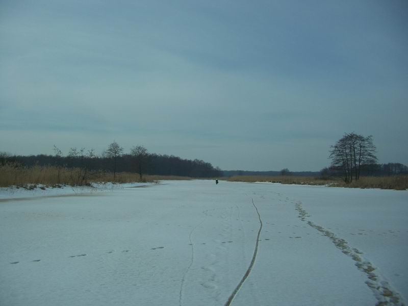 Едем по реке. Лед коричневого цвета из-за торфянистой воды. <a href='http://koenigbicycle.ru/js/ymapload/mapload.htm?maps/v2106tr.kml&55.2213796999944&21.341245&17&hybrid'><img src='/images/Yandex_Maps_logo_25px.gif'></a> <a href='https://www.google.com/maps?z=15&t=h&q=55.2213796999944,21.341245' target='_blank'><img src='/images/25px-Google_Maps_icon.jpg'></a>