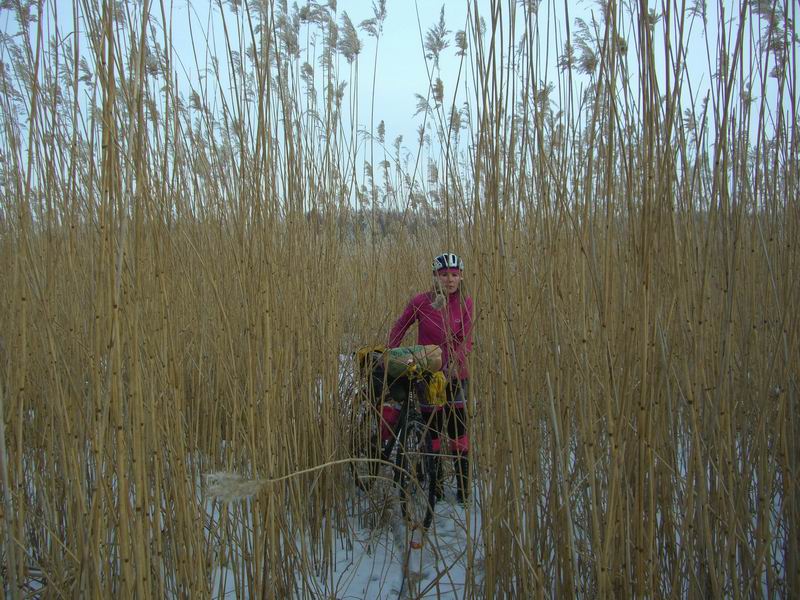 Ищем путь к заливу в камышах. <a href='http://koenigbicycle.ru/js/ymapload/mapload.htm?maps/v2106tr.kml&55.2422999375778&21.2966157500083&17&hybrid'><img src='/images/Yandex_Maps_logo_25px.gif'></a> <a href='https://www.google.com/maps?z=15&t=h&q=55.2422999375778,21.2966157500083' target='_blank'><img src='/images/25px-Google_Maps_icon.jpg'></a>