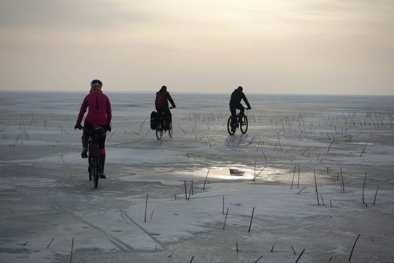 Осторожно огибаем камыши, чтобы не провалиться <a href='http://koenigbicycle.ru/js/ymapload/mapload.htm?maps/v2106tr.kml&55.2389775&21.284423&17&hybrid'><img src='/images/Yandex_Maps_logo_25px.gif'></a> <a href='https://www.google.com/maps?z=15&t=h&q=55.2389775,21.284423' target='_blank'><img src='/images/25px-Google_Maps_icon.jpg'></a>