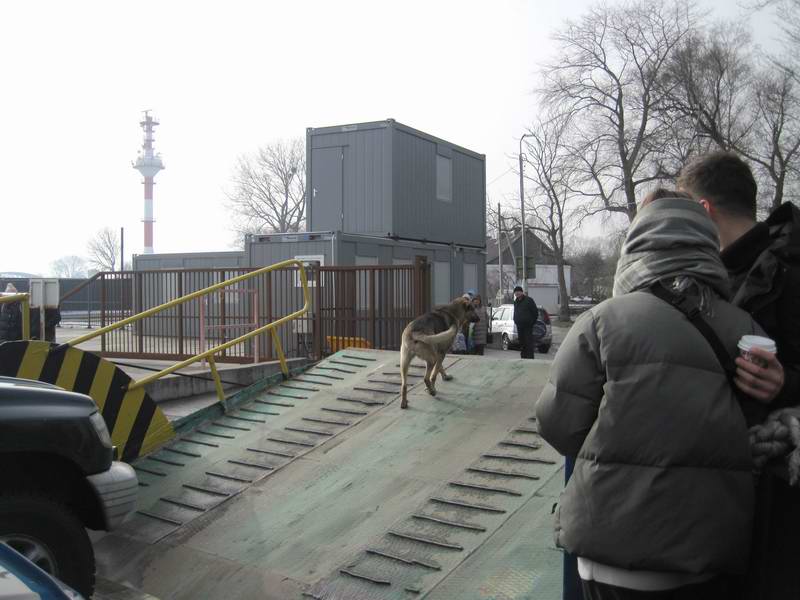 Причаливаем. Собаки тоже пользуются паромом