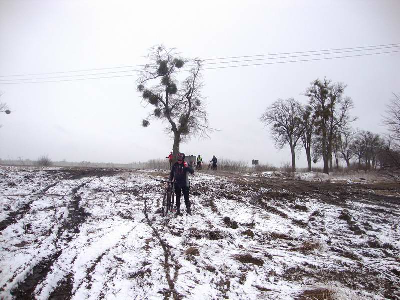 Движемся прямо <a href='http://koenigbicycle.ru/js/ymapload/mapload.htm?maps/v2109tr.kml&54.82718460000001&20.8785389&17&hybrid'><img src='/images/Yandex_Maps_logo_25px.gif'></a> <a href='https://www.google.com/maps?z=15&t=h&q=54.82718460000001,20.8785389' target='_blank'><img src='/images/25px-Google_Maps_icon.jpg'></a>