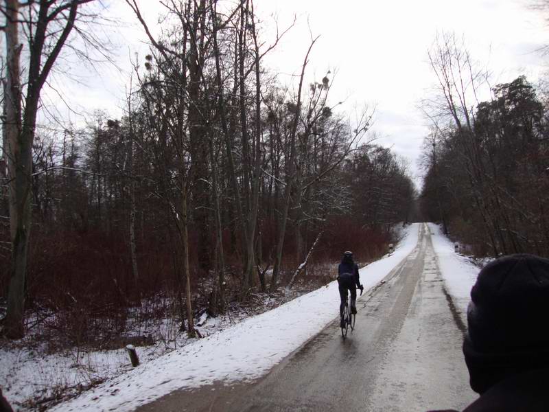 Въезжаем в небольшой лес близ Фурмановки <a href='http://koenigbicycle.ru/js/ymapload/mapload.htm?maps/v2109tr.kml&54.7668724&21.1363833&17&hybrid'><img src='/images/Yandex_Maps_logo_25px.gif'></a> <a href='https://www.google.com/maps?z=15&t=h&q=54.7668724,21.1363833' target='_blank'><img src='/images/25px-Google_Maps_icon.jpg'></a>